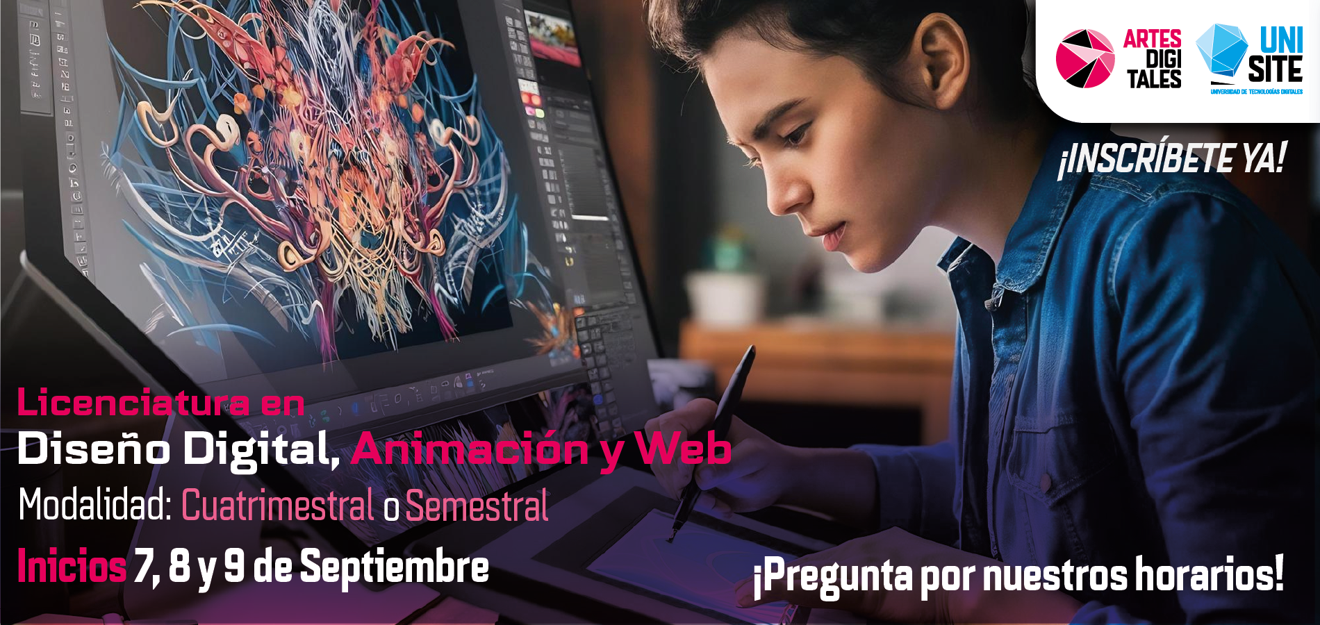 Licenciatura Diseño, Animación y Web