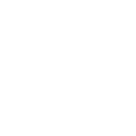 Diplomados